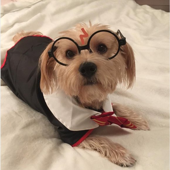 Meet your Posher, Michelle - Picture 16 of 16